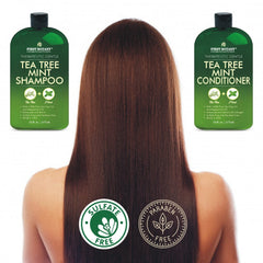 Rituel de soin capillaire First Botany au Tea Tree et à la Menthe.