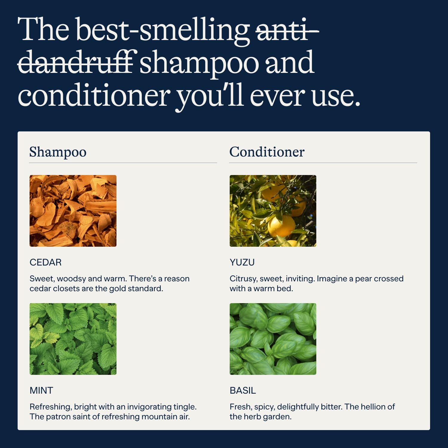 Flakes Après-Shampoing yuzu et basilic – senteur fraîche.