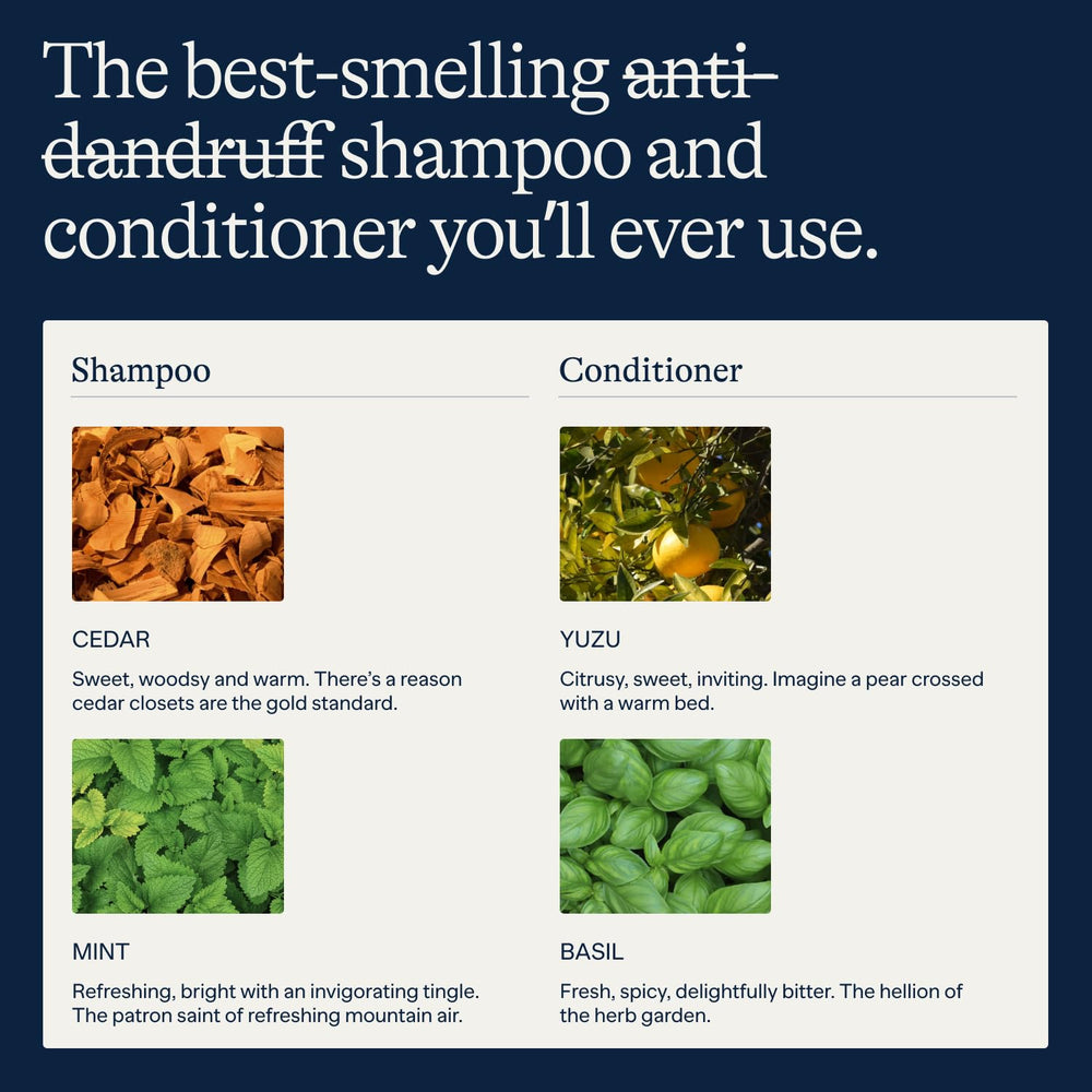 Flakes Après-Shampoing yuzu et basilic – senteur fraîche.