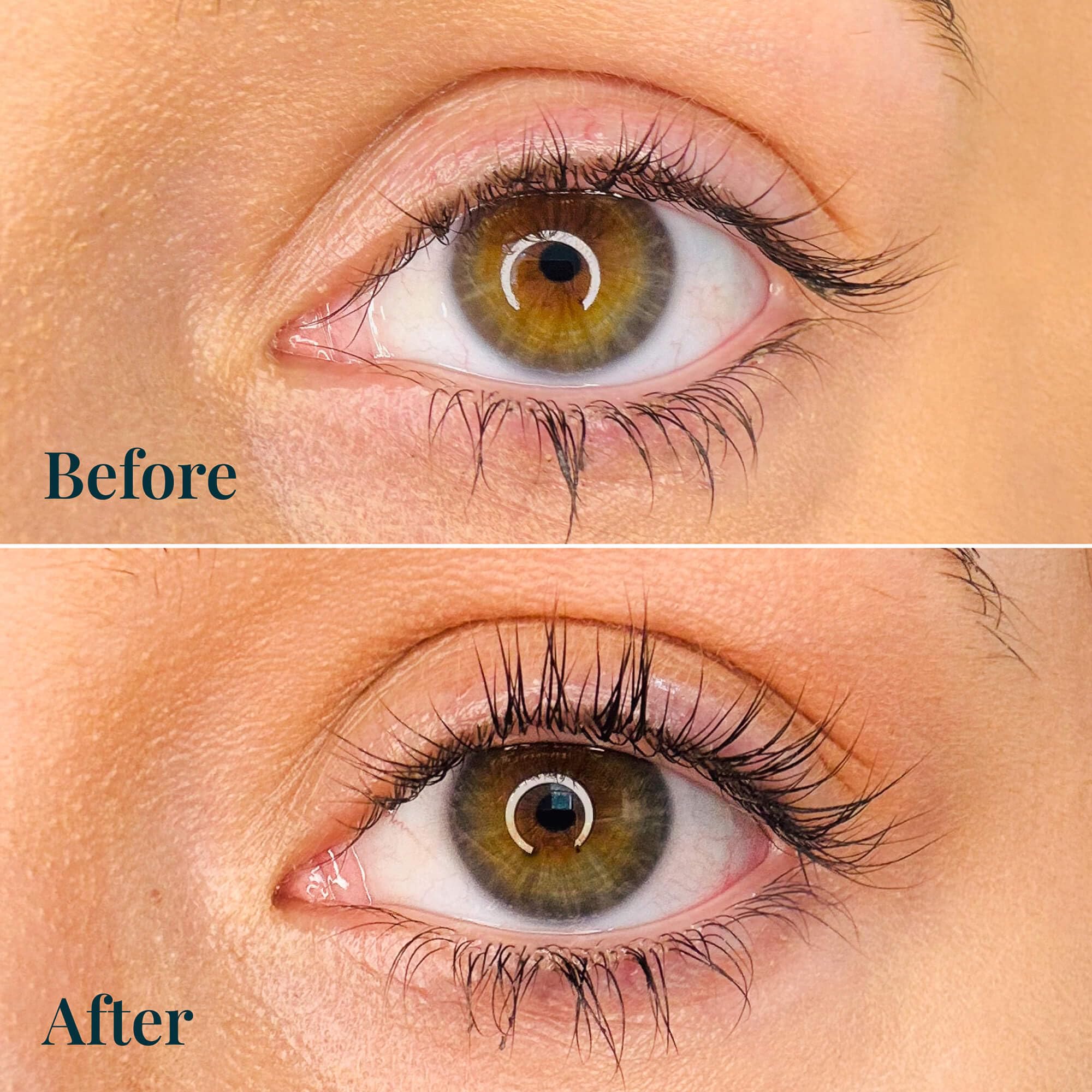 Appliqueur du FlutterHabit pour une application précise sur les cils.