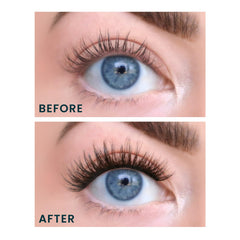 FlutterHabit Water Lily Lash Clusters: six ensembles pour une routine de 30 jours.