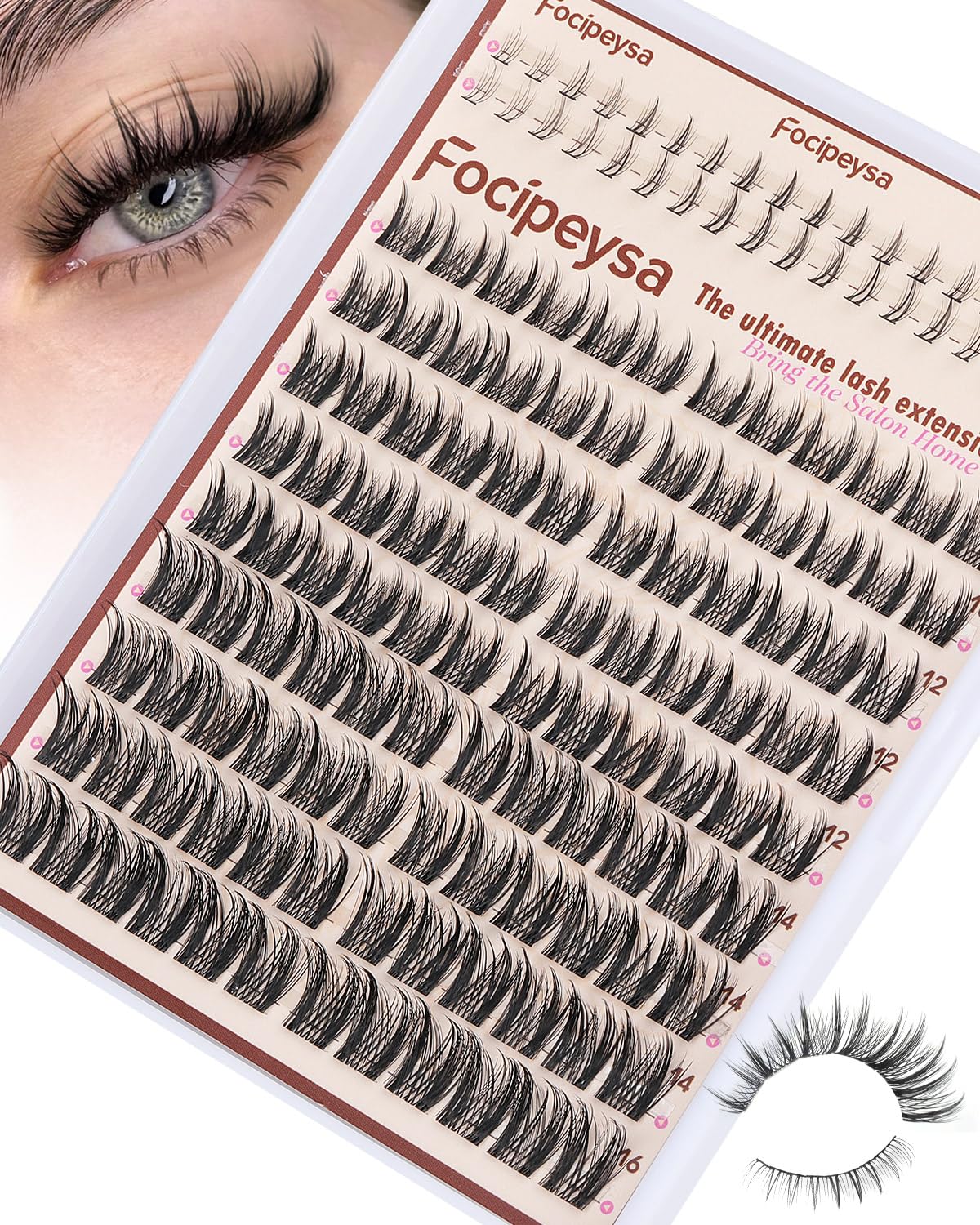 Focipeysa wispy-bande-large : regard naturel et application rapide.