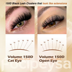 Extensions cils en grappes 10-18 mm D curl pour différents regards.