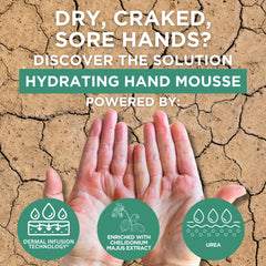 Footlogix Mousse Hydratante Mains absorption rapide et peau douce après application