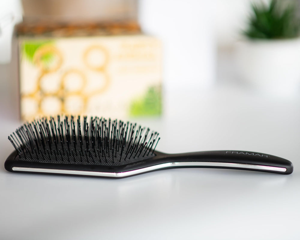 Brosse FRAMAR palette noire portable, idéale pour sac à main.