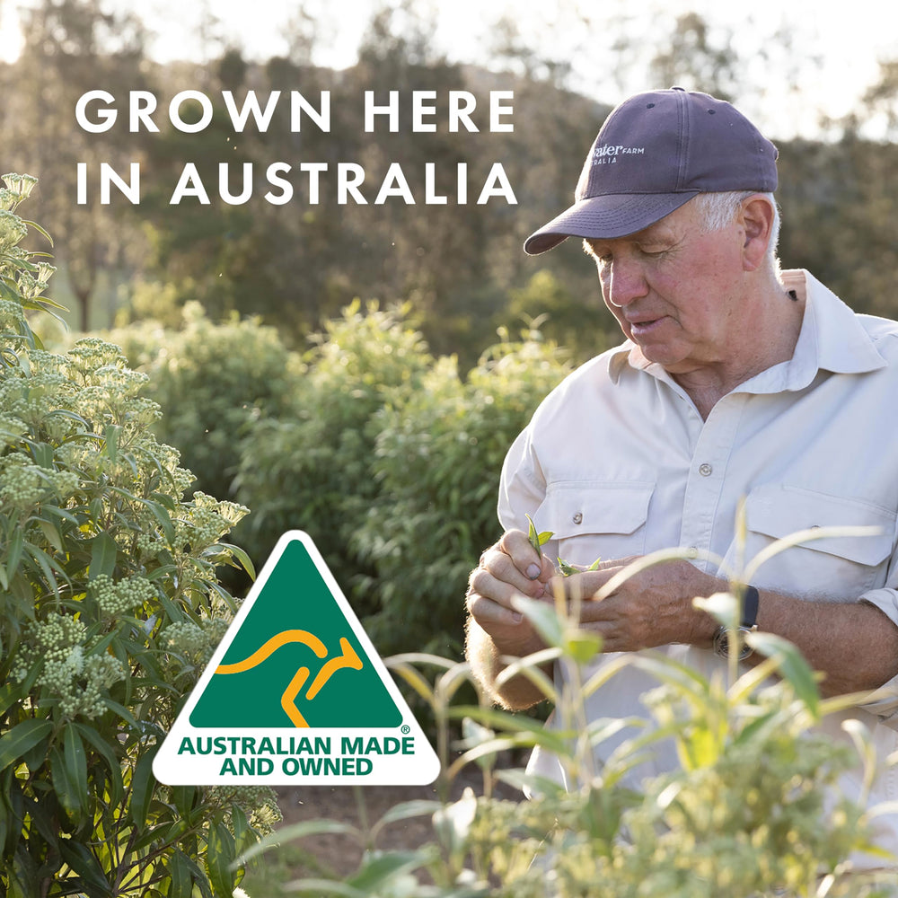 Freshwater Farm Australia couleur naturelle et douceur hydratante