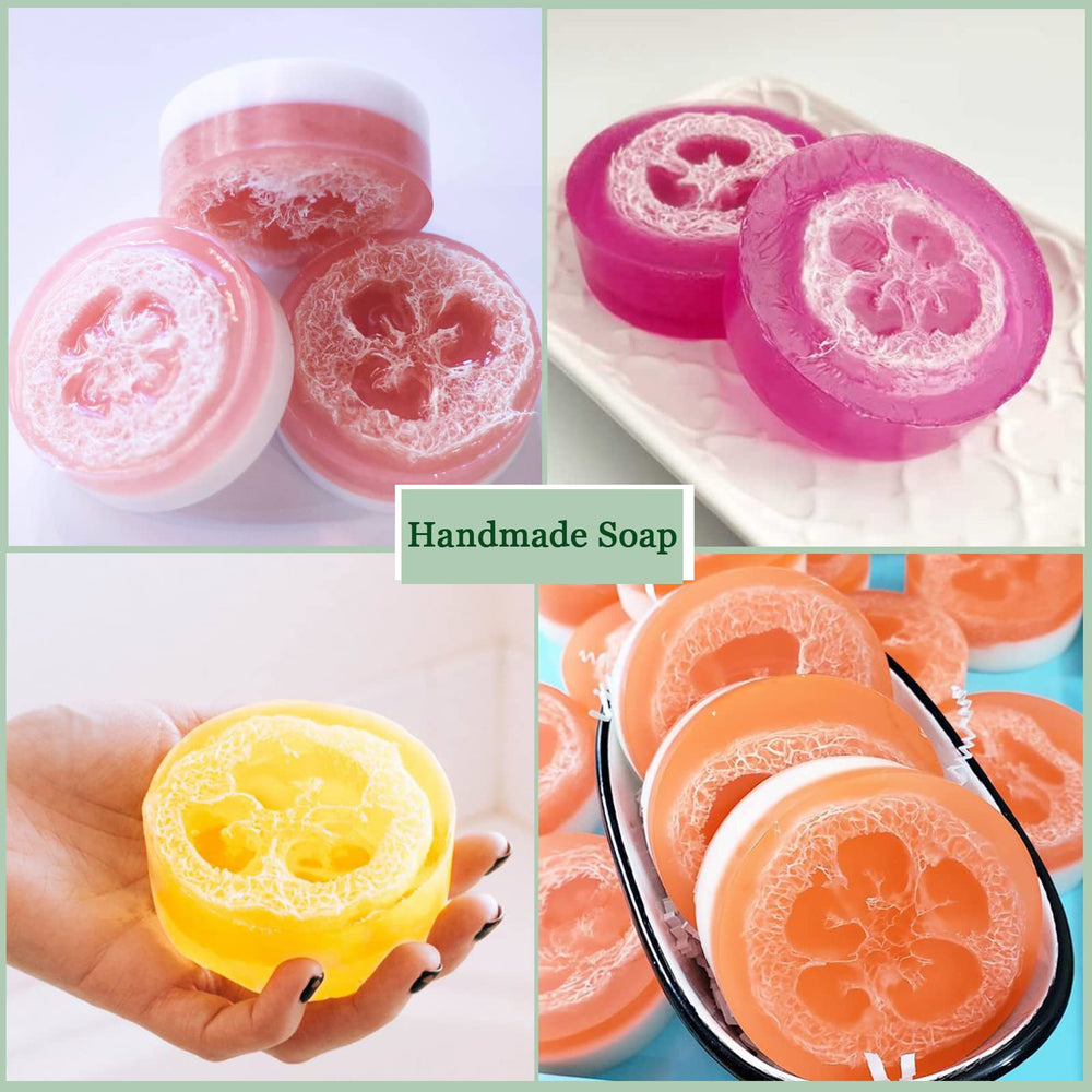 Tranches loofah FRTIM emballées sous vide, faciles à stocker.