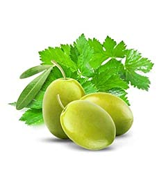 Crème pour les mains Fruits & Passion Cucina, hydratation légère avec coriandre et olive.