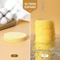 Gainwell éponge faciale biodégradable prête à l’usage, option éco-responsable pour routine beauté.