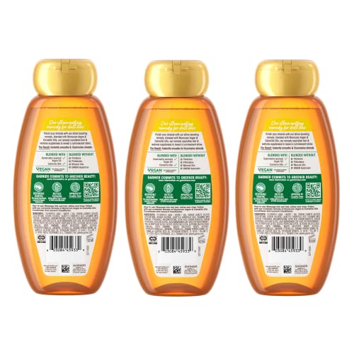 Garnier Whole Blends Argane-Camélia : mousse prête au lavage doux.