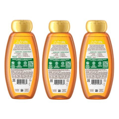 Garnier Whole Blends Argane-Camélia : mousse prête au lavage doux.