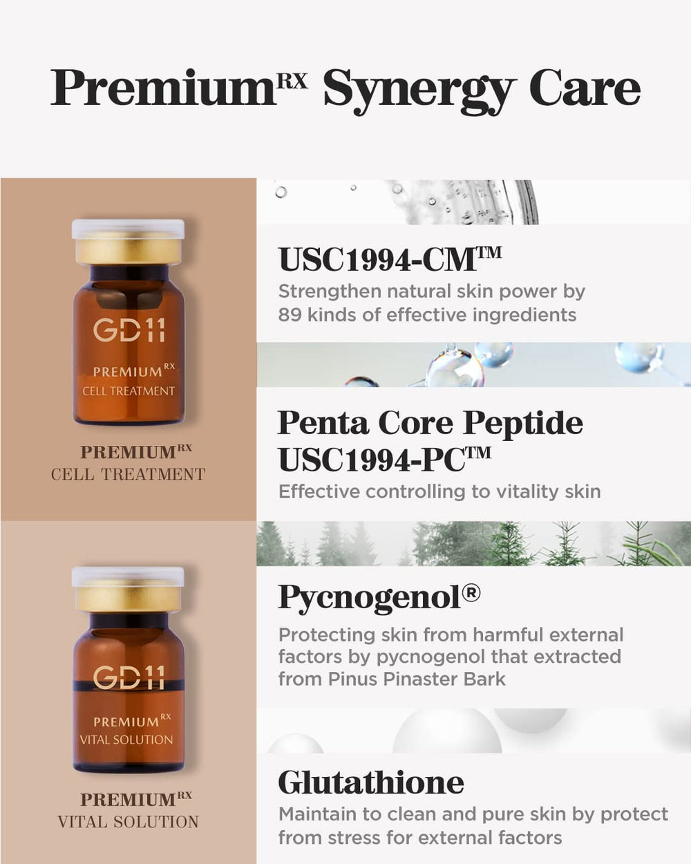 Extrait d’écorce de pin et antioxydants naturels du GD11 pour revitaliser la peau.