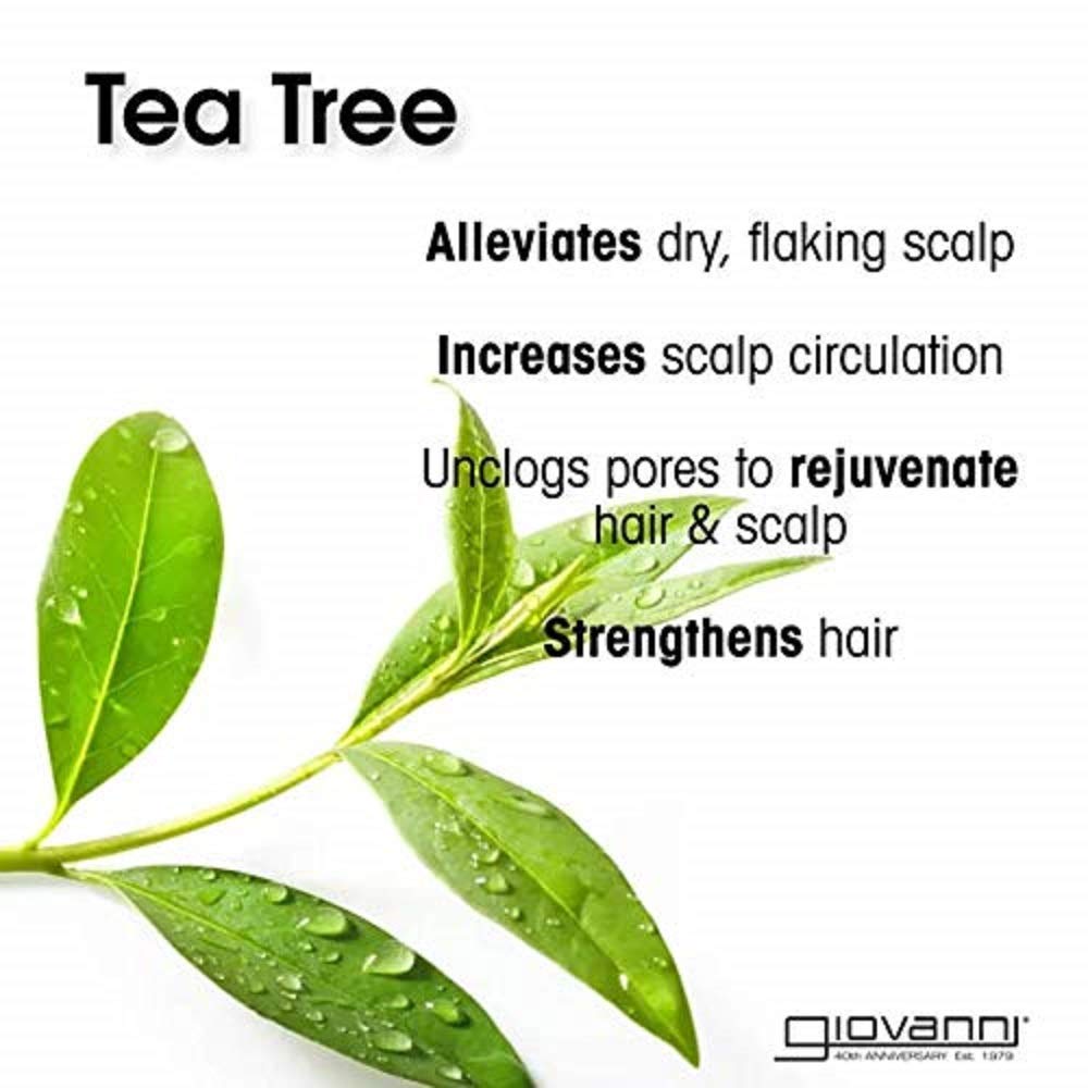 Texture crèmeuse du soin GIOVANNI Arbre-à-thé Invigorant sur cheveux