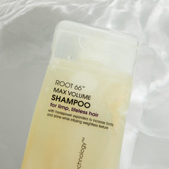 GIOVANNI Root 66 Max Volume Shampoing – extrait de prêle pour nourrir les cheveux