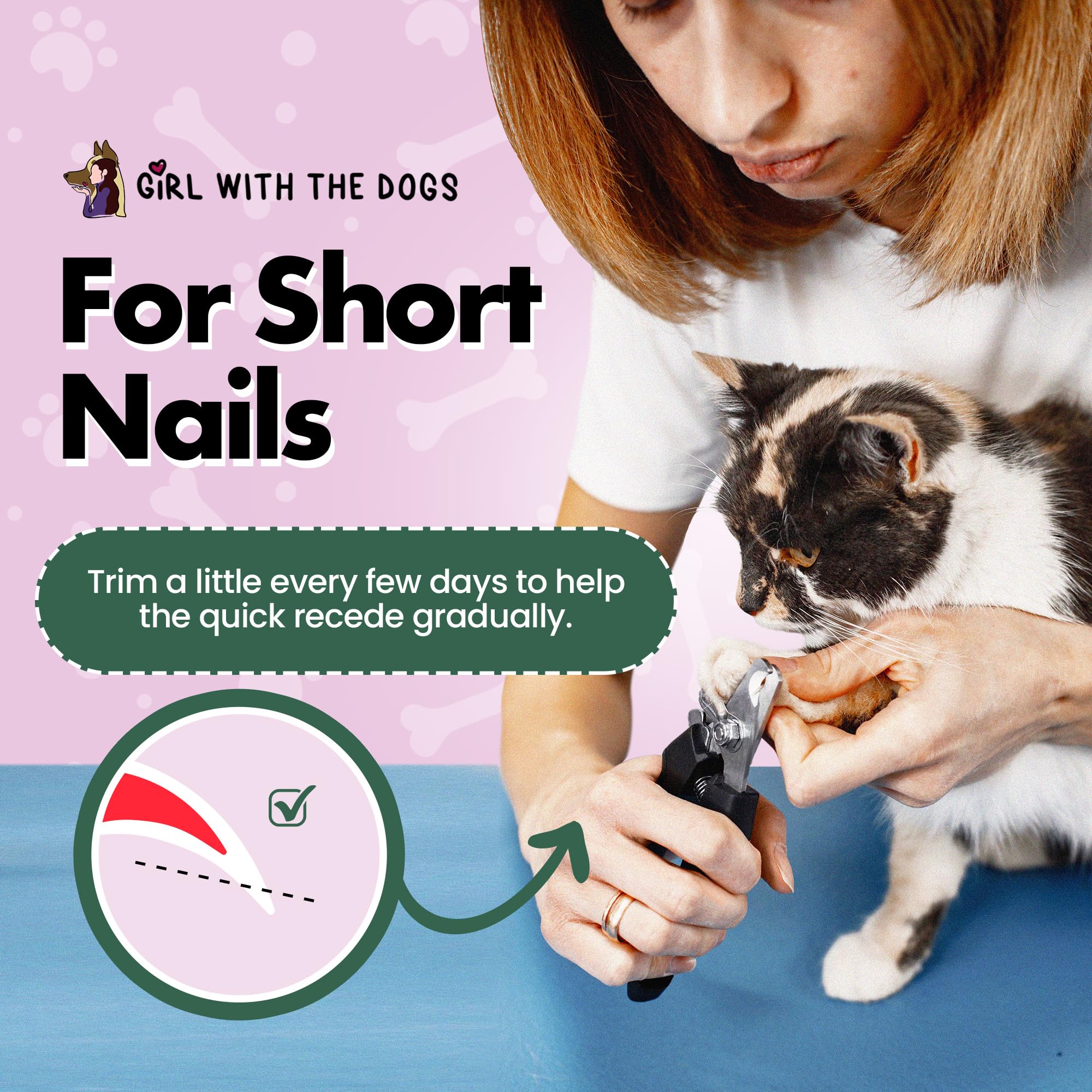 Conception ergonomique et durable, Girl With The Dogs, outil pro fiable.