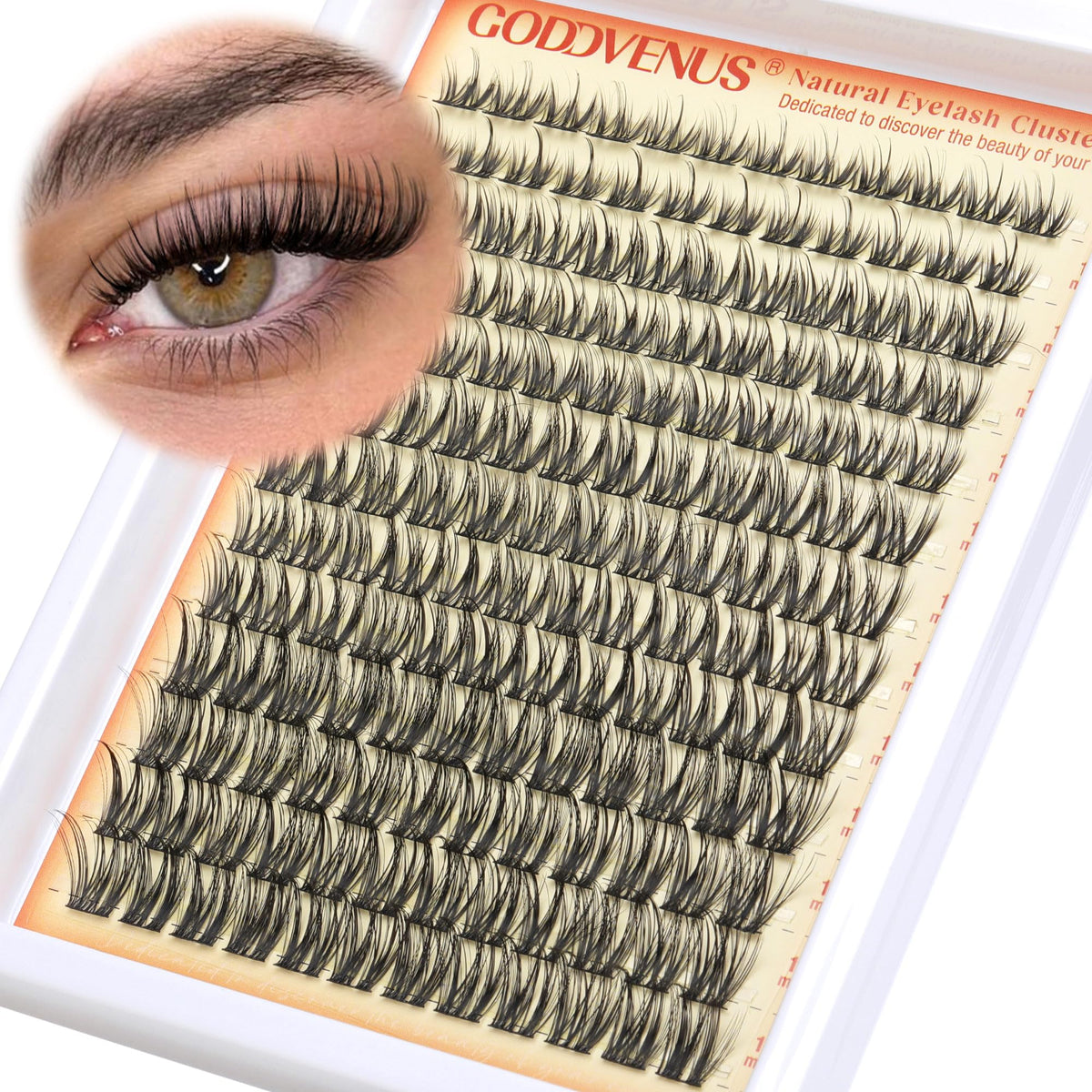 Goddvenus boîté clusters cils pour un look volumineux et naturel