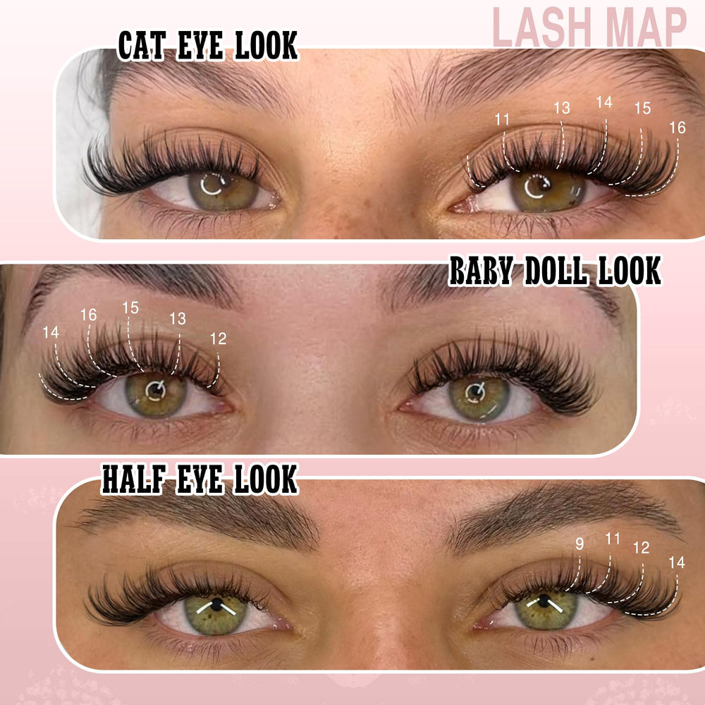 Goddvenus coffret-kit-lash complet réunit tout le nécessaire pour une application facile.