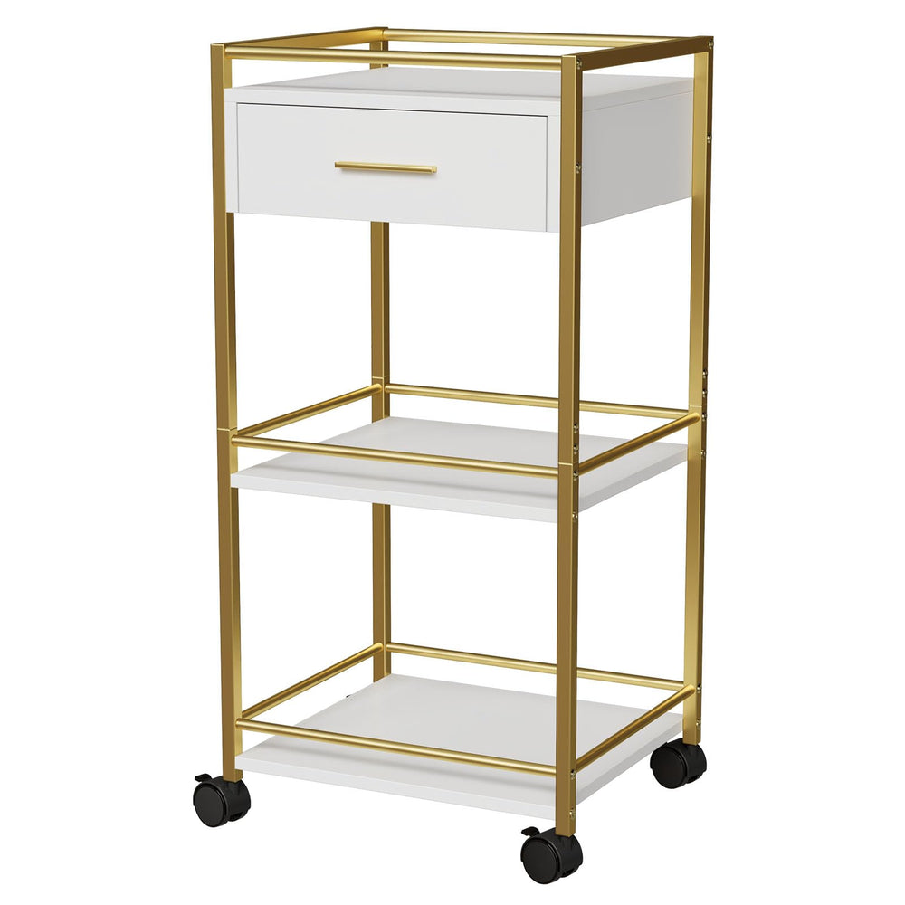 GOFEI Salon Trolley Cart: roues et tiroir pour outils à portée de main.