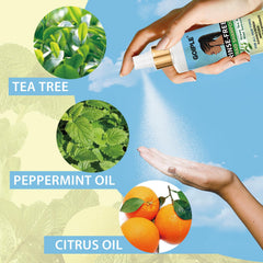 Goiple Shampoing Sans Eau en application, facilité d'utilisation sur coiffures protectrices.