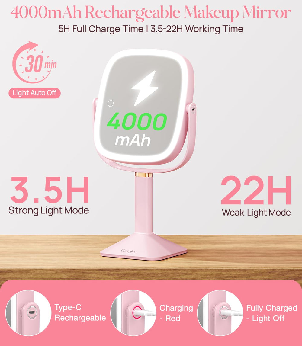 Miroir double face 1X et 10X pour vues globales et détails