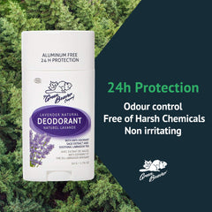 Green Beaver Lavande – protection 24h contre les odeurs, journée active