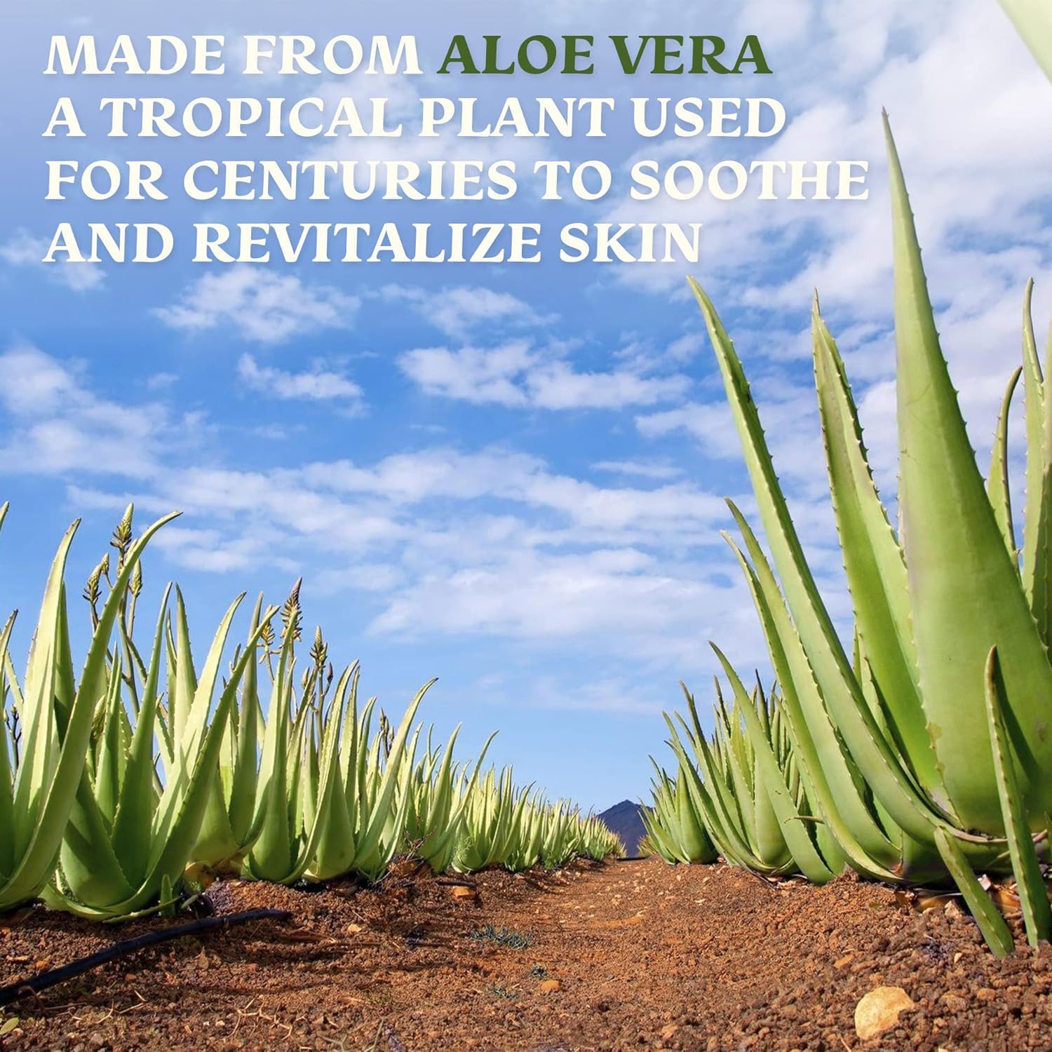 Green Leaf Naturals Gel Aloe produit aux États-Unis, qualité premium.