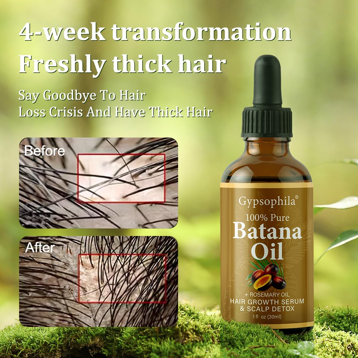 Gypsophila Batana Oil scalp massage demonstrating deep nourishment for healthier roots.