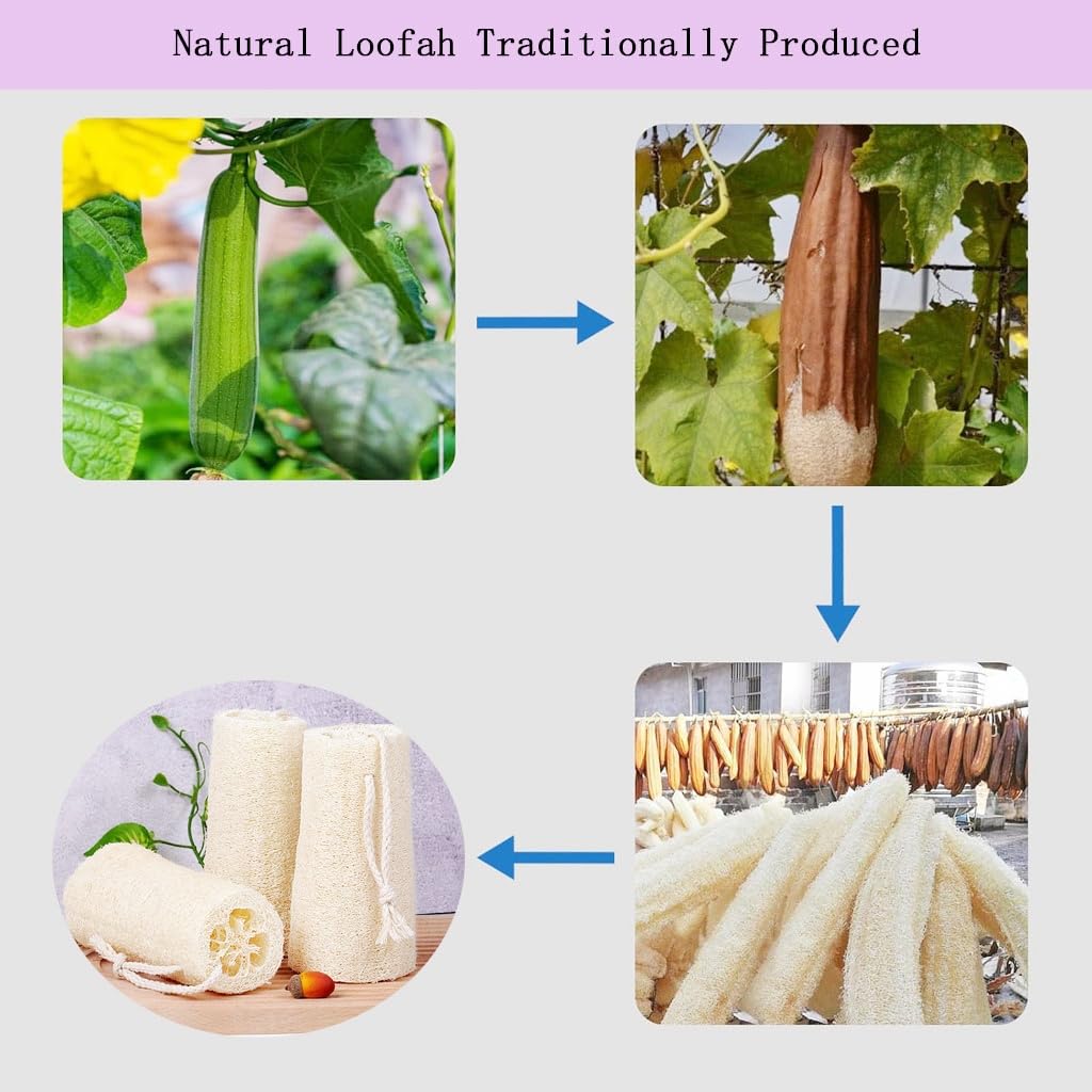Éponge exfoliante biodégradable haikuluo, ensemble de 3 pour bain