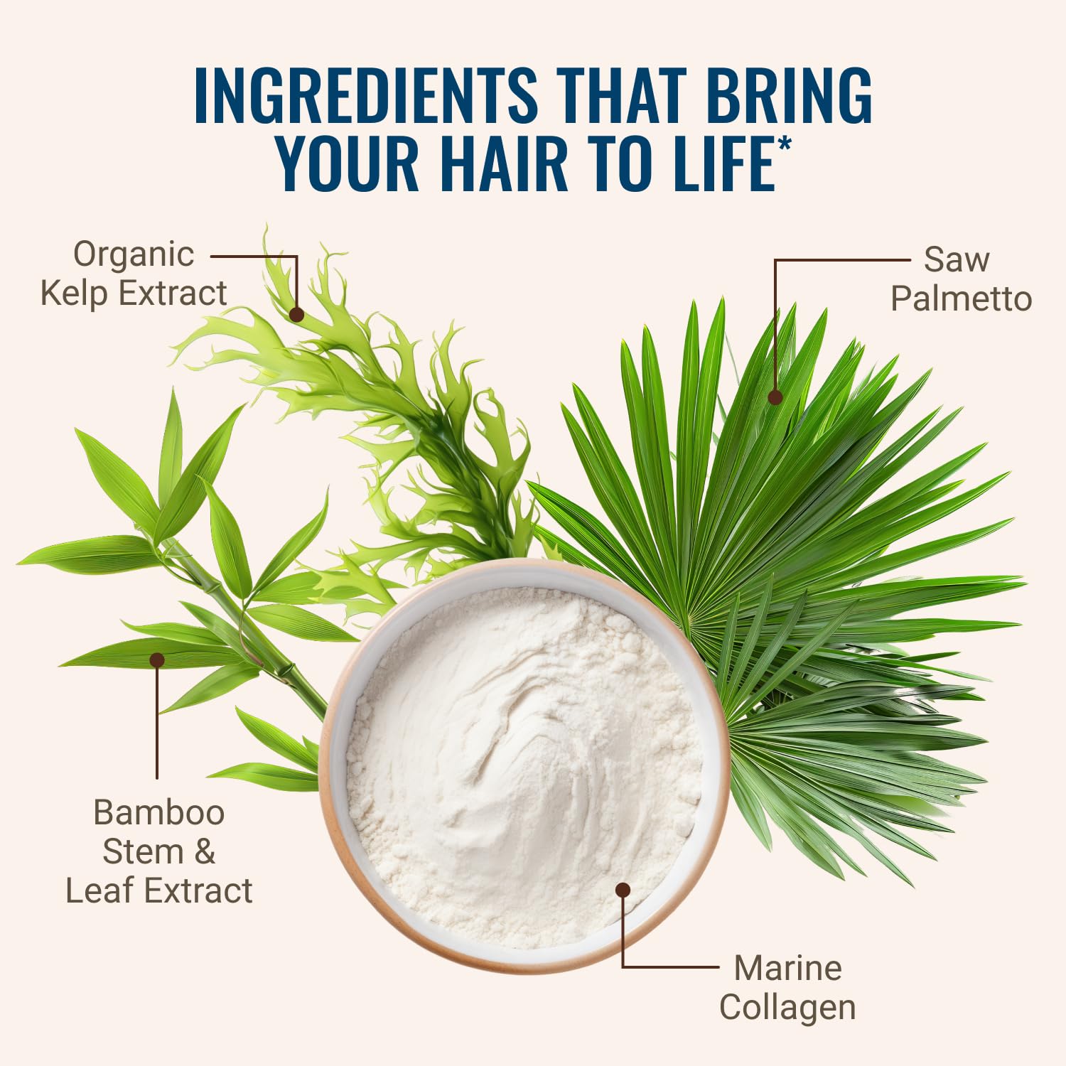 Hair La Vie Live Conscious: informations nutritionnelles visibles sur l'étiquette.