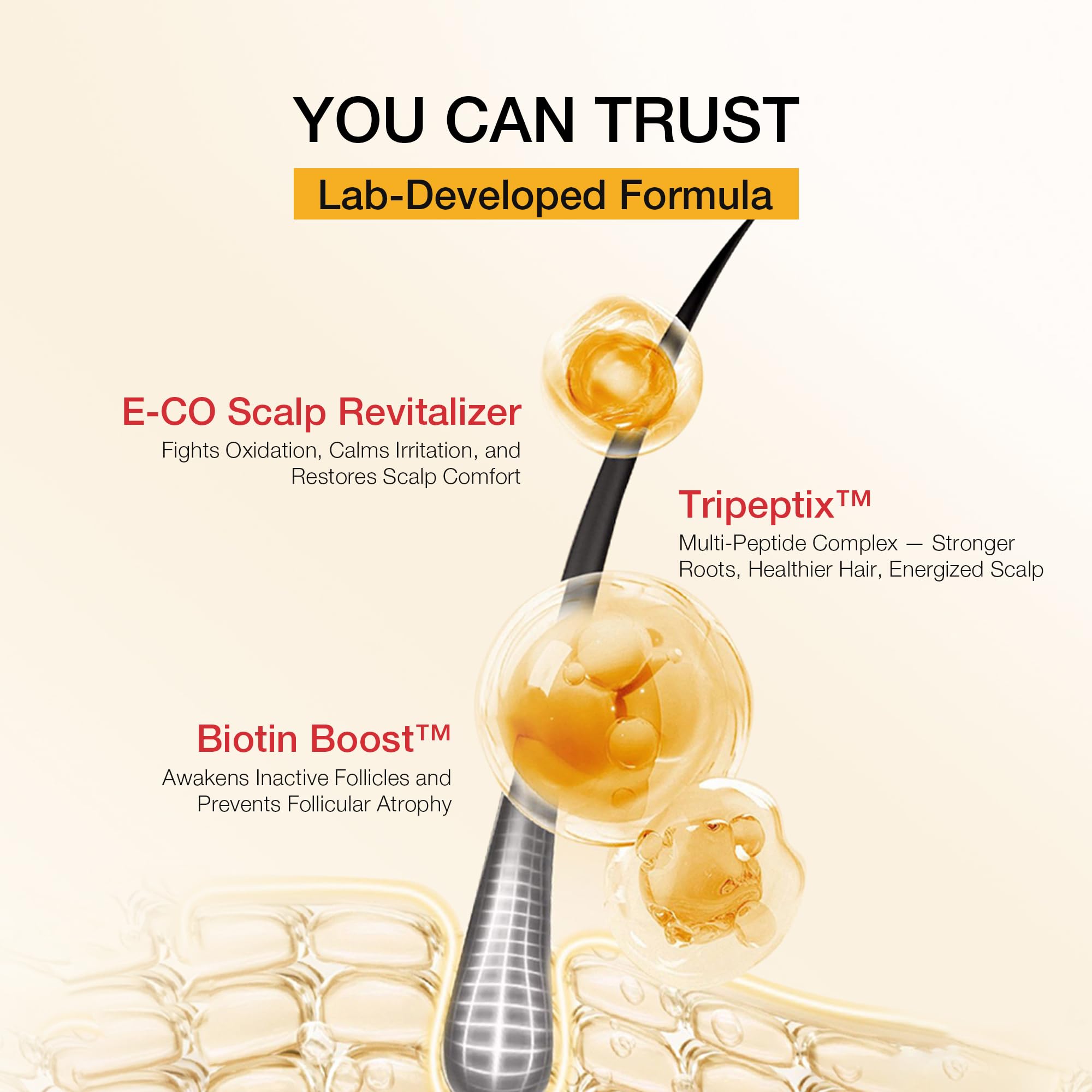 Hand applying shampoo to scalp demonstrates easy, even distribution.
