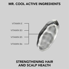 Hair Situation Mr. Cool étiquette et emballage soignés pour l’élégance.