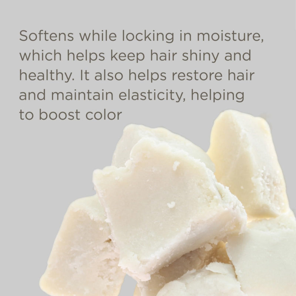 Hairitage Pass sur le Brass Purple Shampooing – Texture crèmeuse facilitant l’application.