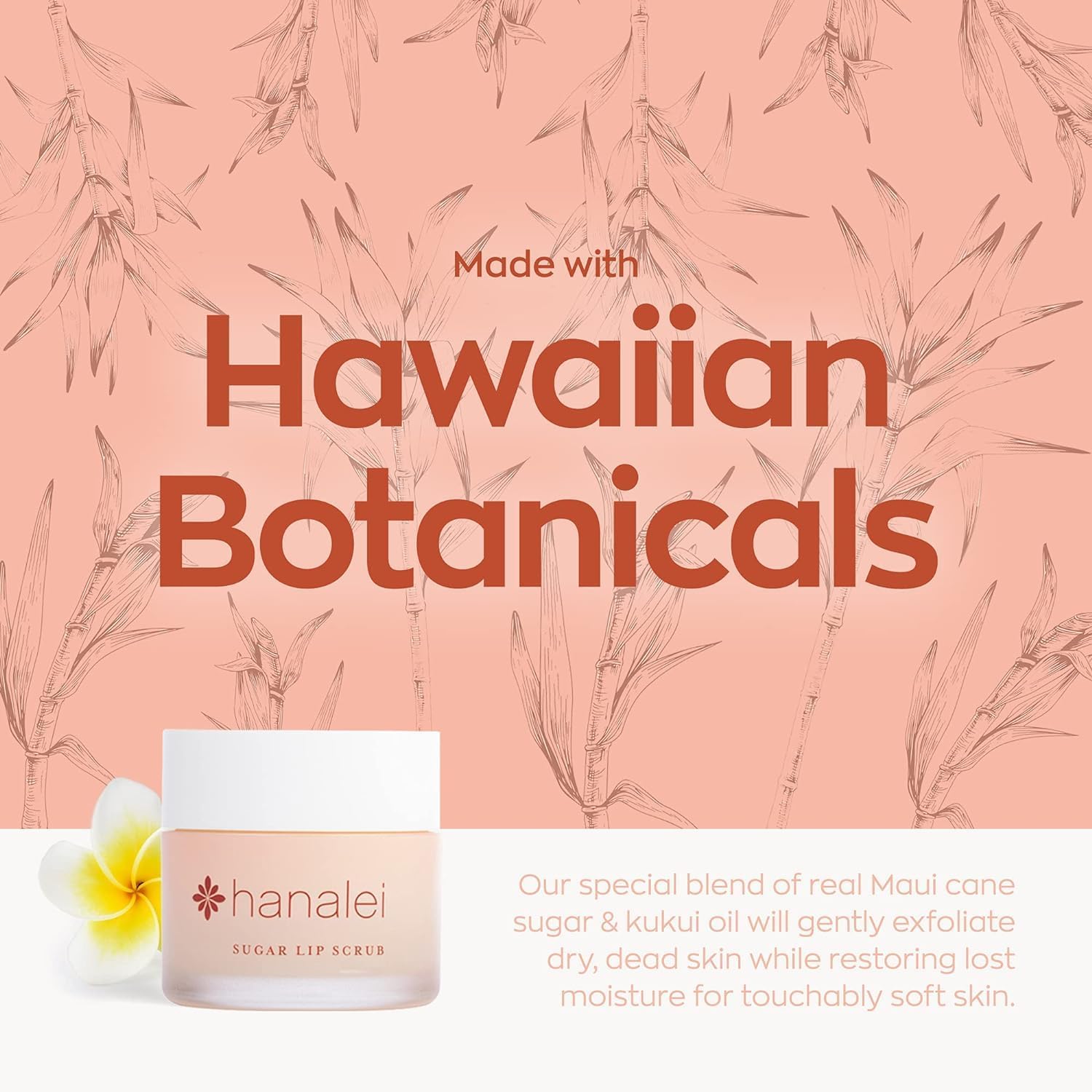 Lèvres avec brillance naturelle et aspect sain grâce au duo Hanalei