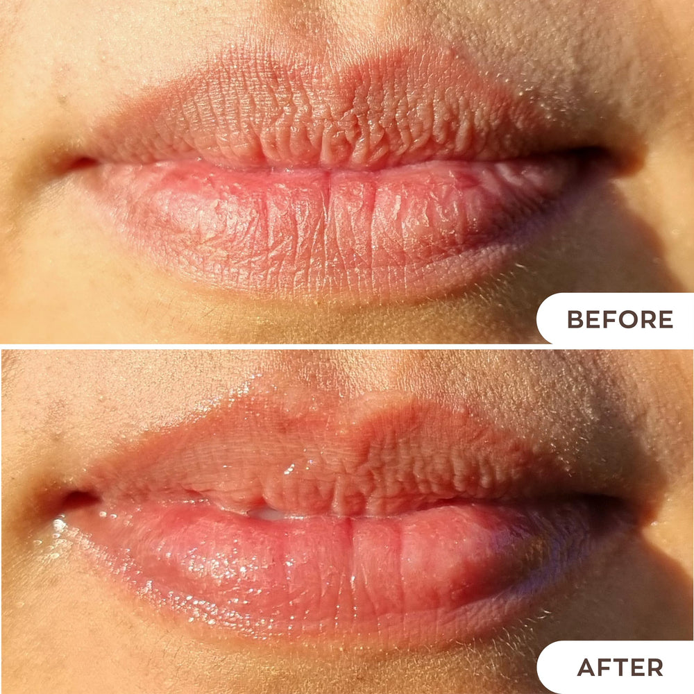 Hanalei Huile Grapeseed, antioxydante et protectrice.