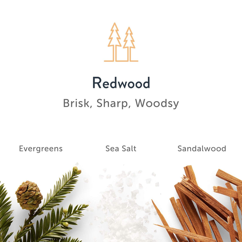 Parfum Redwood dans le baton, expérience sensorielle agréable.