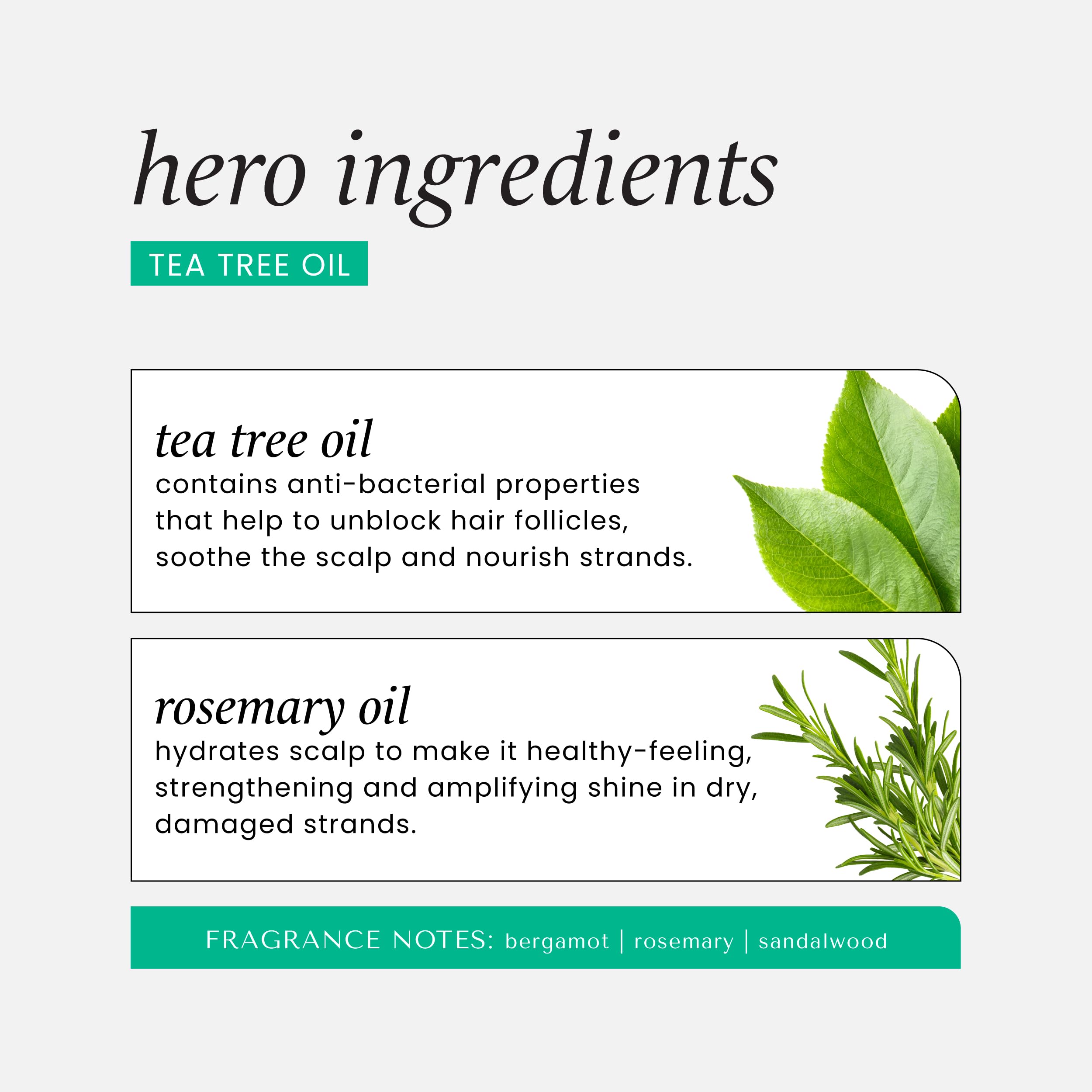 Ambiance aromathérapie HASK bergamot et santal, réveil des sens.