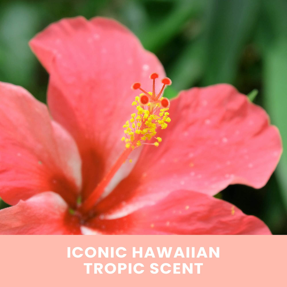 Senteur iconique et parfum tropical d’Hawaii