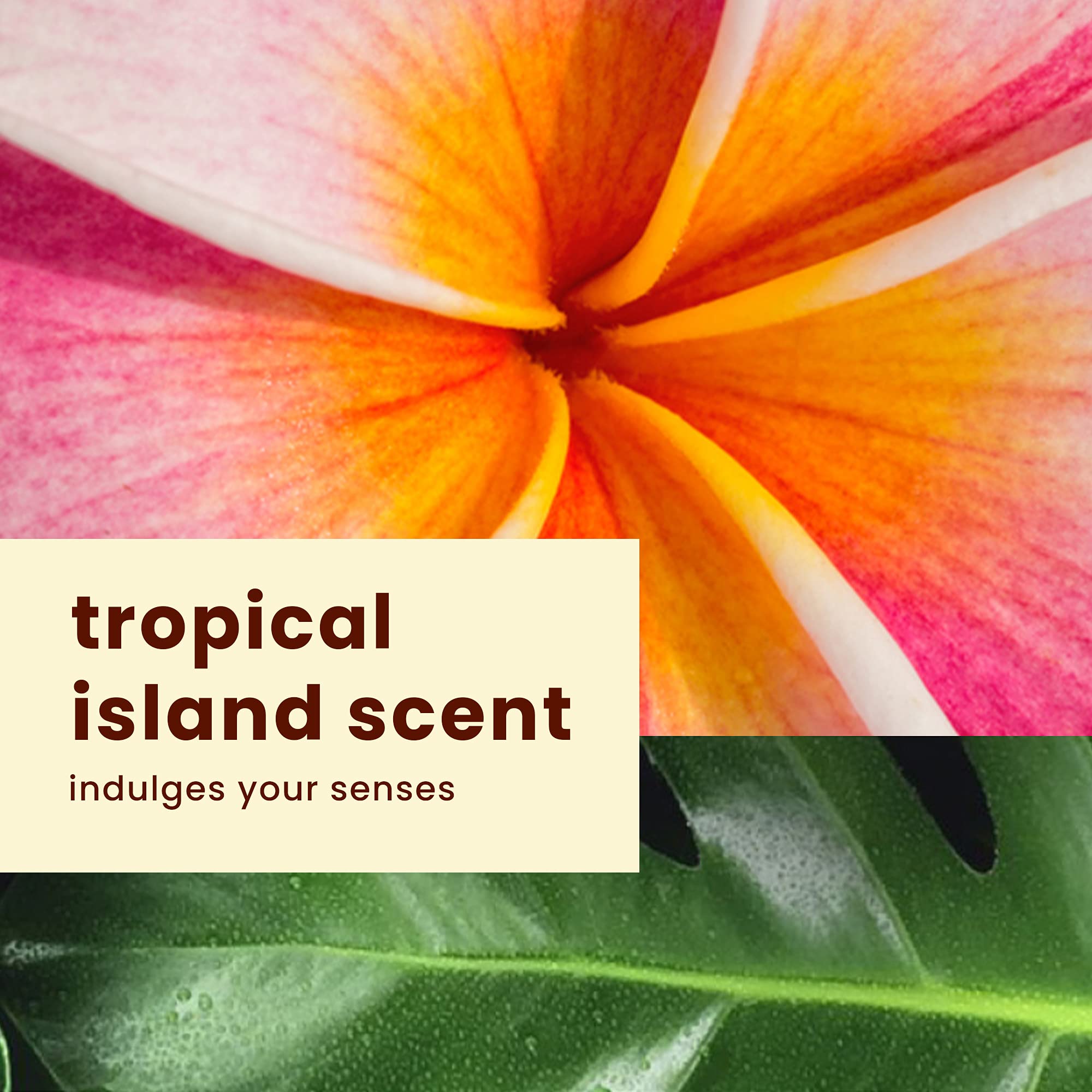 Hawaiian Tropic ingrédients mangue karité vitamine E: soin nourrissant pour la peau.