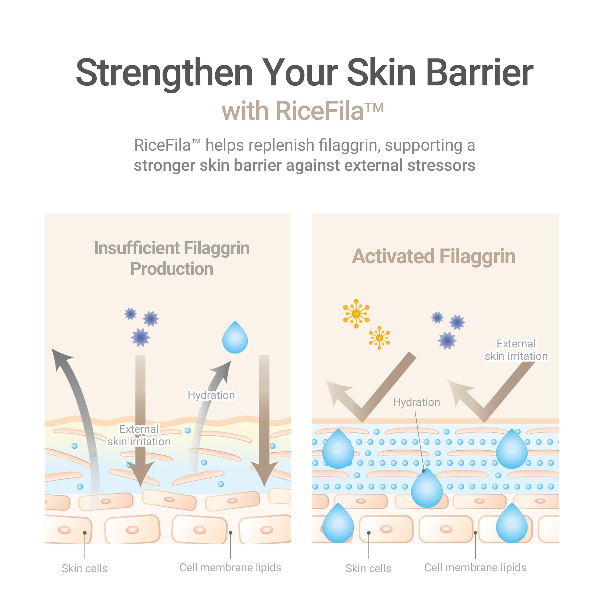 HAYEJIN RiceFila Toner — hypoallergénique sans colorants ni parfums.