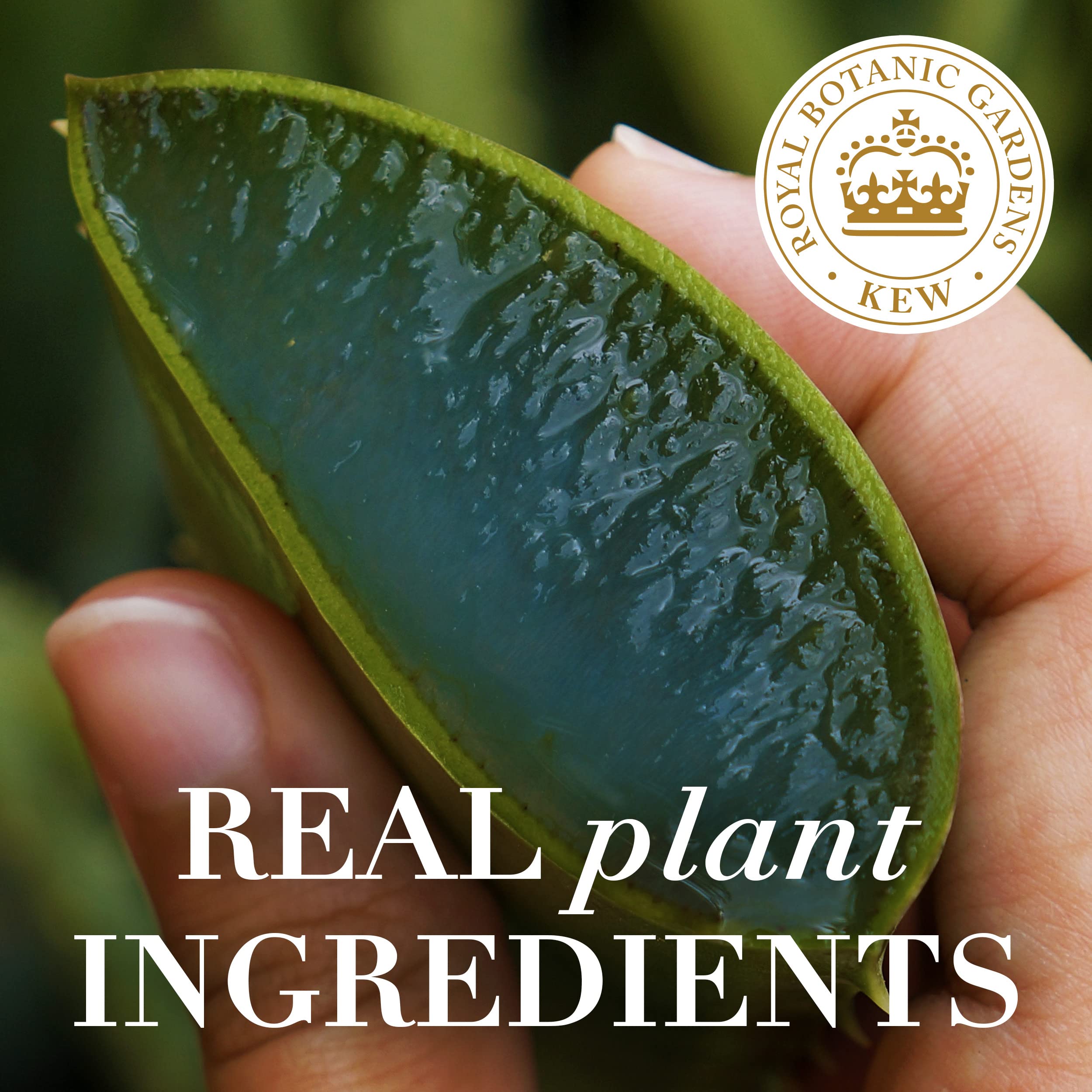 Application sur cheveux humides Herbal Essences Bio Renew, démêlage facilité.