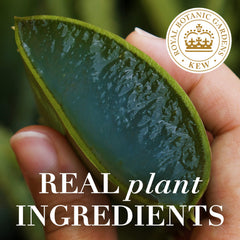 Application sur cheveux humides Herbal Essences Bio Renew, démêlage facilité.