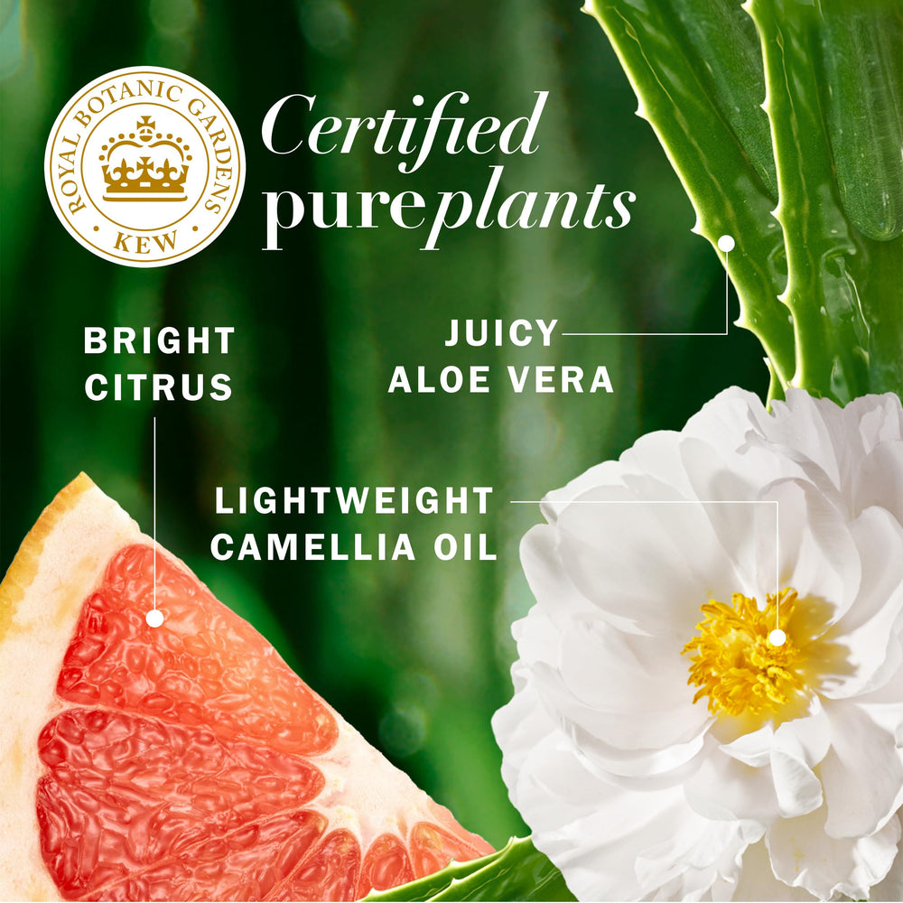 Herbal Essences camélia-oil-nourrissant: hydratation légère pour cheveux fins