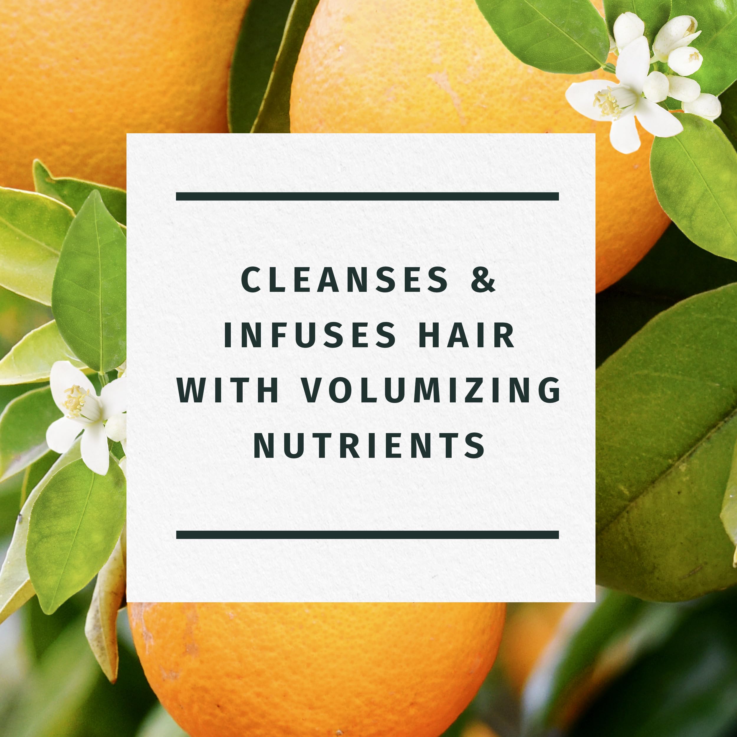 Herbal Essences Orange Citrus Volume Shampoo – extraits naturels d'orange et de thé vert pour nourrir les cheveux.