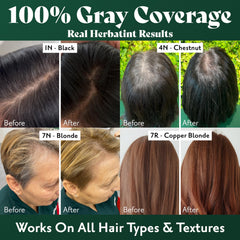 Herbatint 4D châtaigne doré - Couverture gris: efficacité sur cheveux gris résistants.