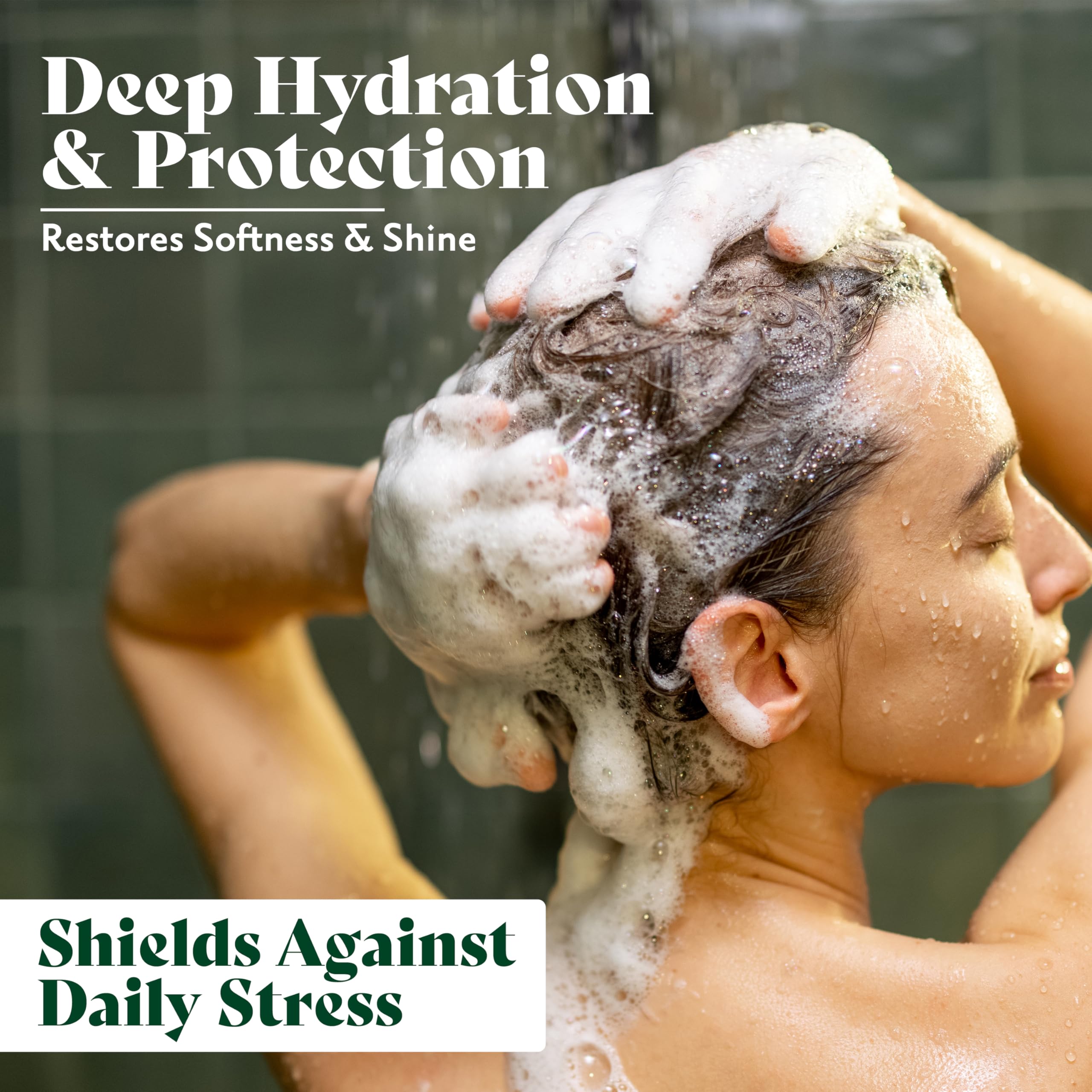 Herbatint Hydrate Shampoing, bêtaïne de betterave — hydratation durable sans alourdir