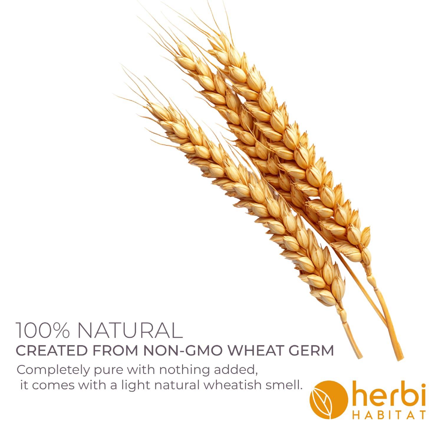 Herbi Habitat huile vitamine E ongles: renforcement et moins de casse.