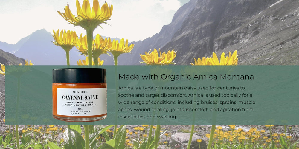 Herbs of Eden Baume Cayenne Arnica ingrédients naturels et aromatiques.