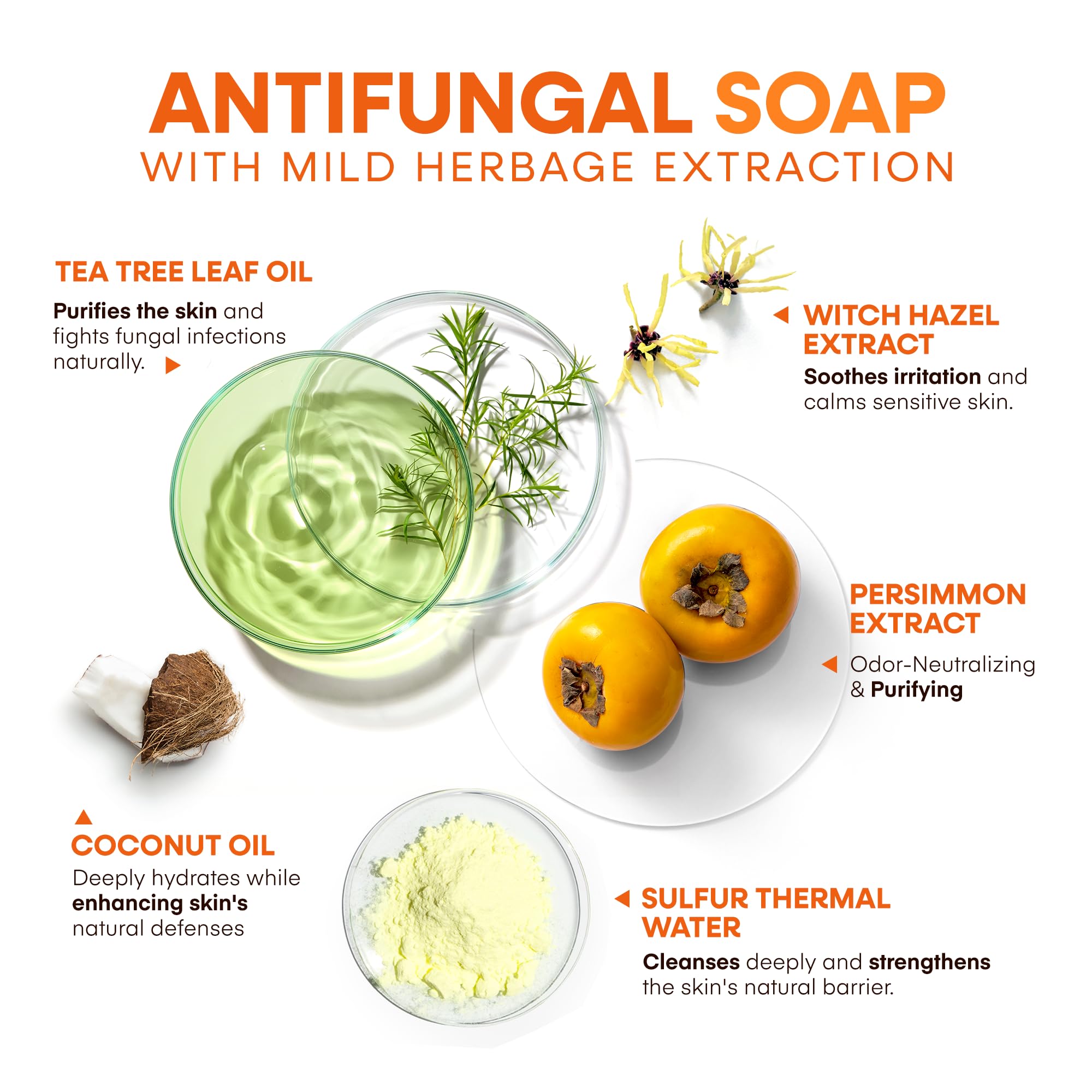 Utilisation quotidienne du savon Hermon Tea Tree après l’entraînement pour fraîcheur durable.