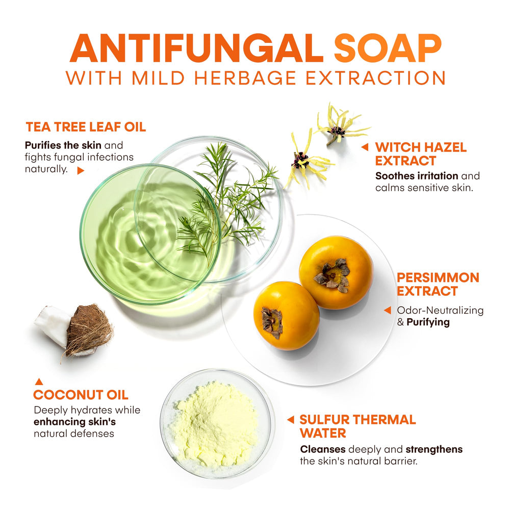 Utilisation quotidienne du savon Hermon Tea Tree après l’entraînement pour fraîcheur durable.