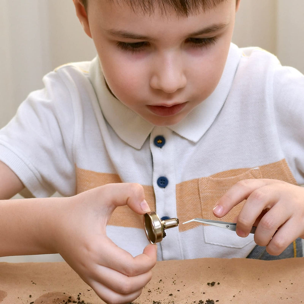 Pinces Honoson inox, pour nettoyage d’aquarium et petits objets.